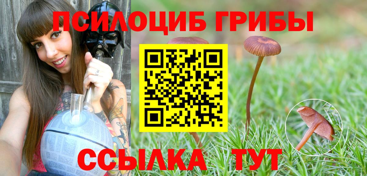 Галлюциногенные грибы Magic Shrooms  Вход с VPN  Псилоцибиновые грибы MAGIC MUSHROOMS  Кстово 