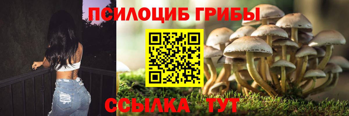 Галлюциногенные грибы MAGIC MUSHROOMS Кстово