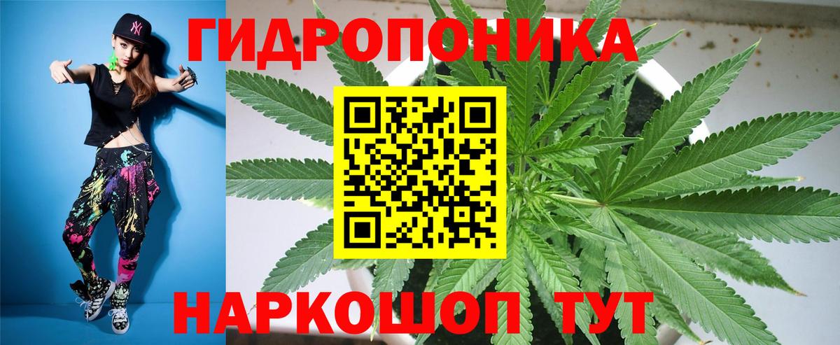 Канабис планчик  Шишки марихуана White Widow  МАРИХУАНА SATIVA & INDICA  Шишки марихуана White Widow  Вход с VPN  Кстово 